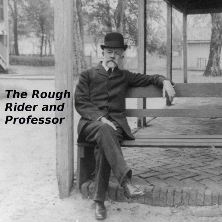 cover art for The Rough Rider and the Professor