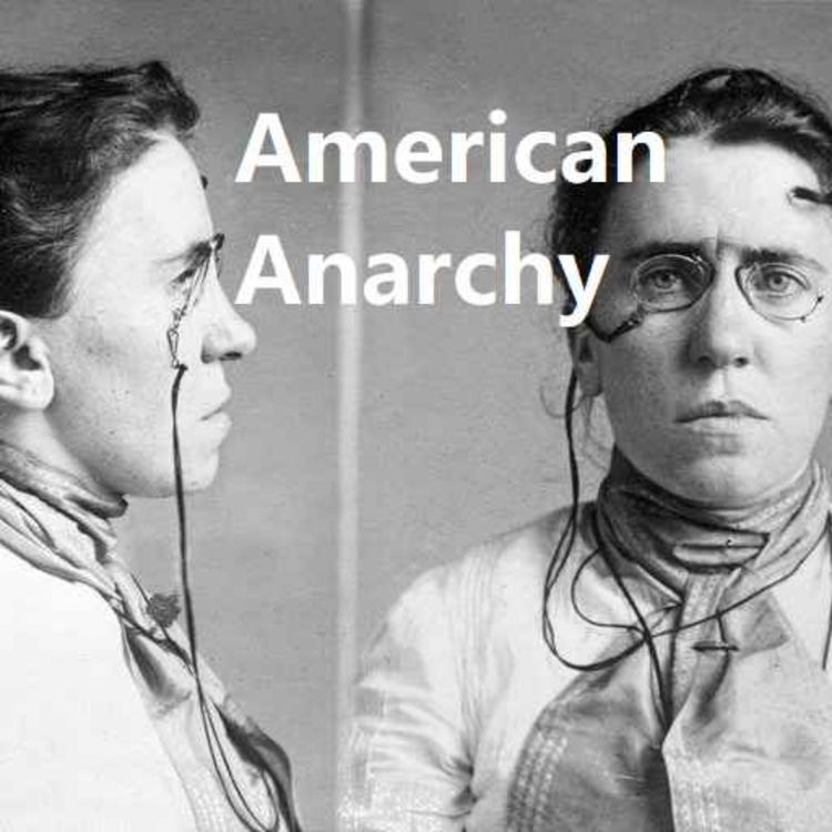 cover art for American Anarchy