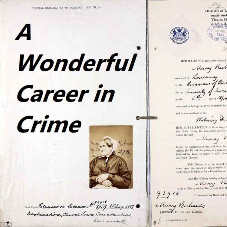 cover art for A Wonderful Career in Crime