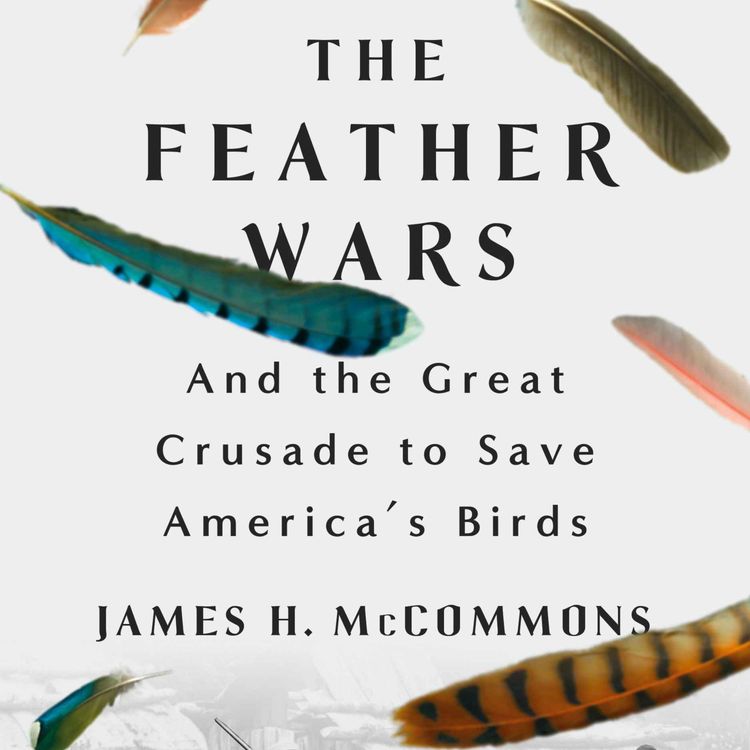 cover art for 116: The Feather Wars: And the Great Crusade to Save America’s Birds
