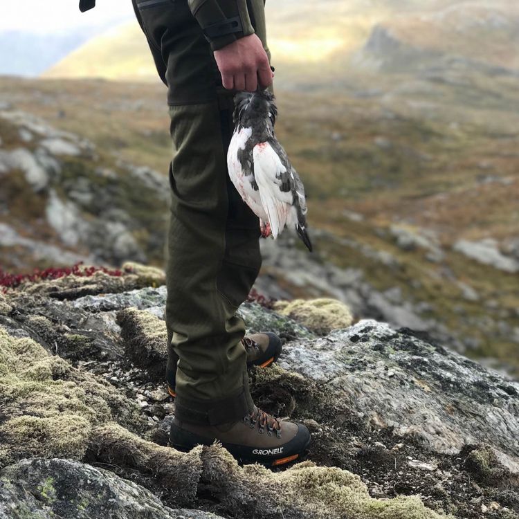cover art for Småviltjakt - Den dør, den dør!