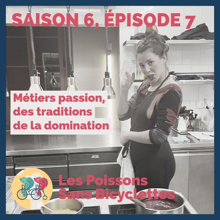 cover art for Métiers passion, des traditions de la domination