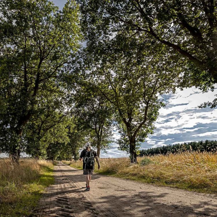 cover art for WW245: Das Grüne Band – mit Joey Kelly