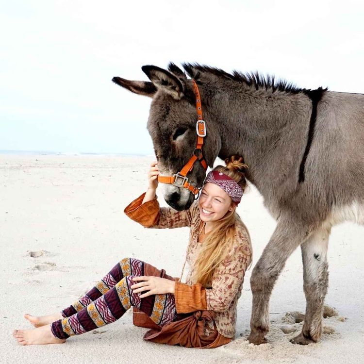 cover art for WW280: Sonne, Meer und lange Ohren – mit Esel im Campervan an die Atlantikküste – mit Lotta Lubkoll