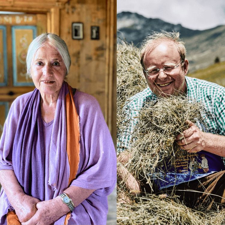 cover art for WW295: Die Weisheit der Bergbauern – Rückkehr nach Südtirol