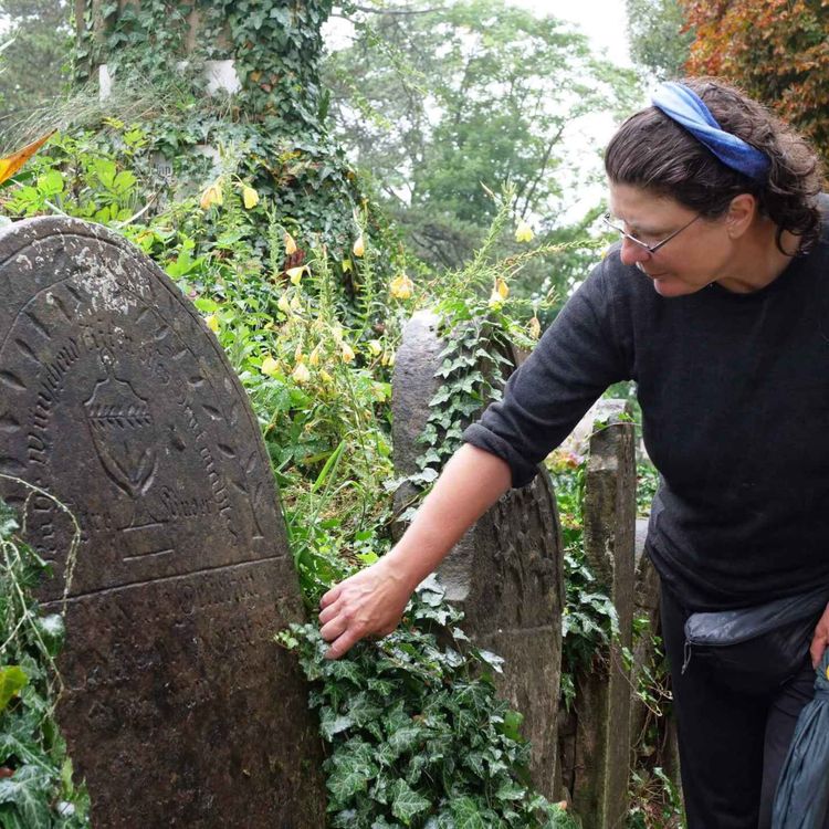 cover art for WW297: Für Dracula-Fans und Zeitreisende – mit Christine Thürmer auf der Via Transilvanica durch Rumänien