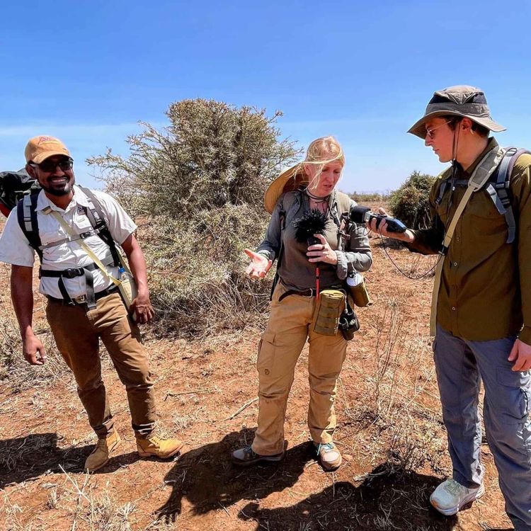 cover art for WW309: Der Ruf der Savanne – mit Lydia und Erik auf Walking Safari in Tansania (2/3)