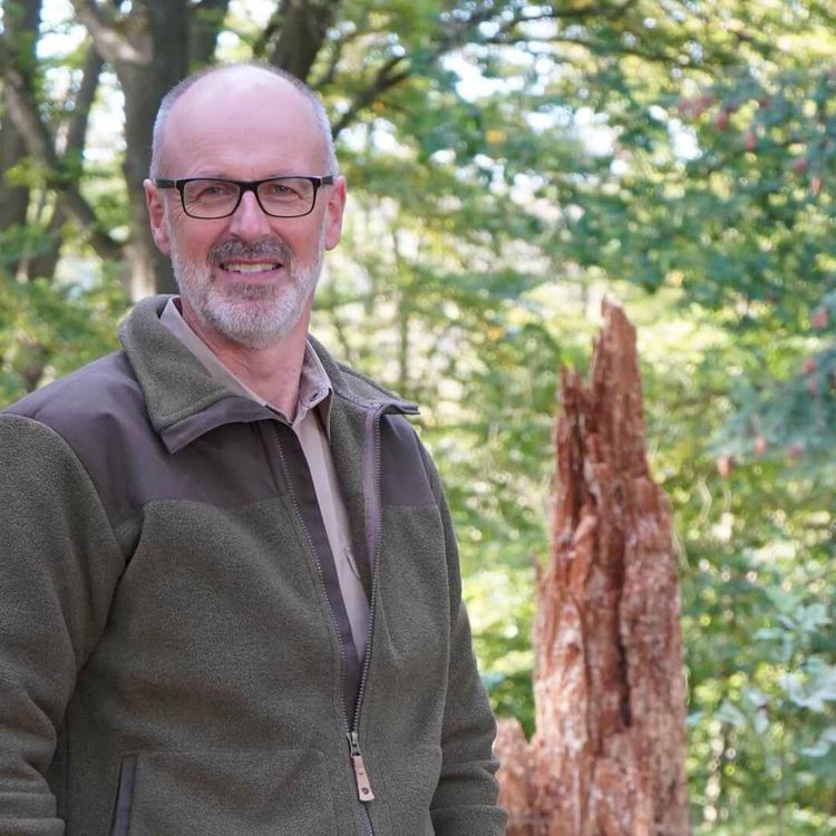 cover art for WW305: Peter Wohlleben – Waldwissen – Vom Wohlergehen von Wald und Mensch