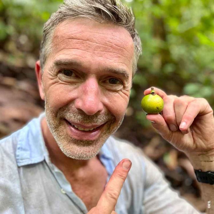 cover art for WW333: Dirk Steffens – Die Menschheit ernähren und dabei die Welt retten