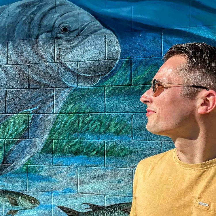 cover art for WW361: Wunderwelten aus Wasser – unterwegs am Crystal River (Florida 1/2)