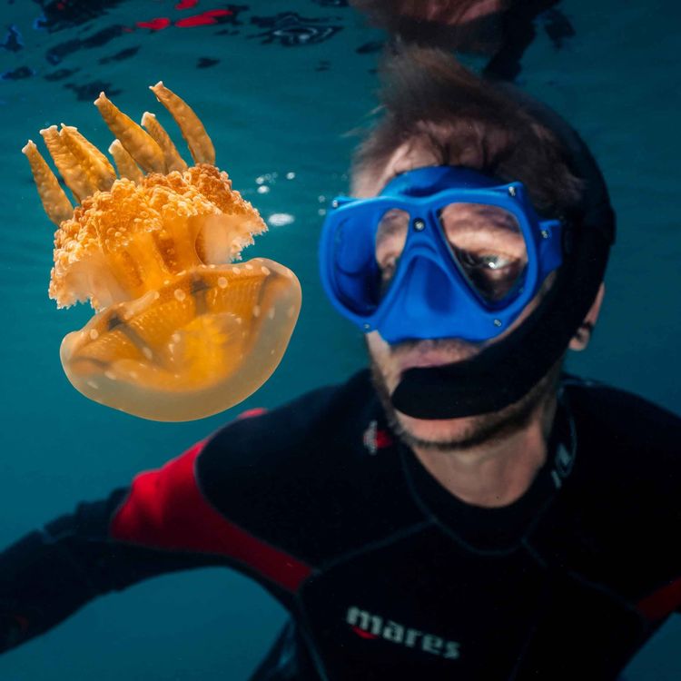 cover art for WW408: Vergessene Wracks und tickende Zeitbomben der Geschichte – mit Unterwasserarchäologe und Forschungstaucher Dr. Florian Huber in Palau & Ruanda 