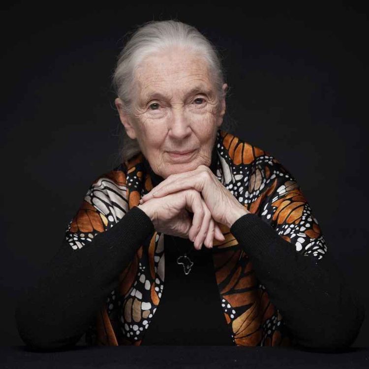 cover art for R.I.P. Jane Goodall – Re-Release von Folge 300 ("Thoughts on a good Life and a healthy Planet") in Gedenken an eine große Naturschützerin