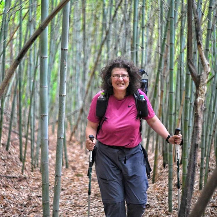 cover art for Wandern in Asien mit Christine Thürmer – Zwischen Naturkatastrophen, Kimchi und Bergtempeln | WW447