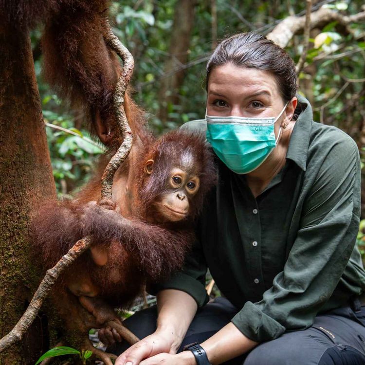 cover art for Borneo: Orang-Utans retten im Regenwald | mit Hannah Emde | WW458