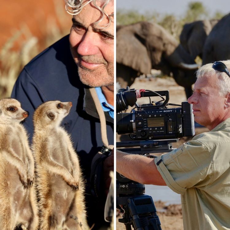 cover art for Namibia: zwischen Erdmännchen, Elefanten und Löwen – mit den Tierfilmern Jens Westphalen & Thoralf Grospitz | WW464