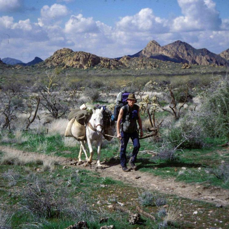 cover art for Schatzsuche! Auf der Spur des Goldes – Die Old Dutchman Mine in Arizona | Patrick Hahnrath | WW472