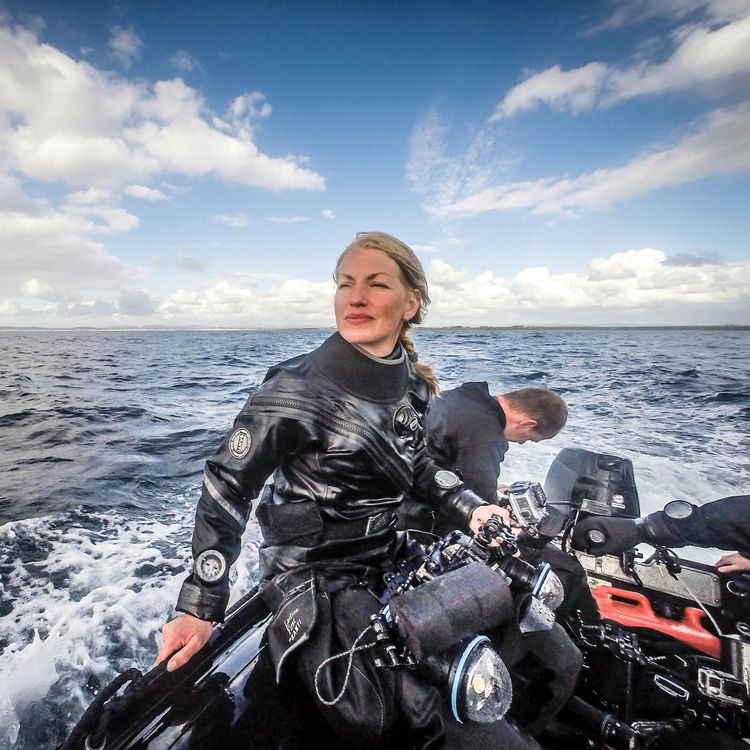 cover art for WW198: Auf der Spur der Eishaie (1/2) – mit Christina Karliczek Skoglund