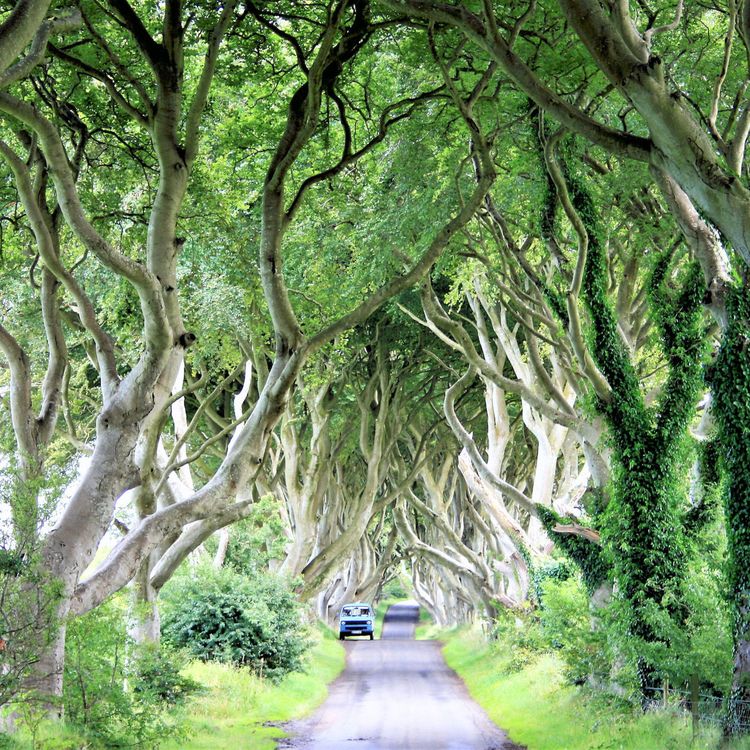 cover art for WW139: Zeit als Ziel – Oliver Lück (1/2)