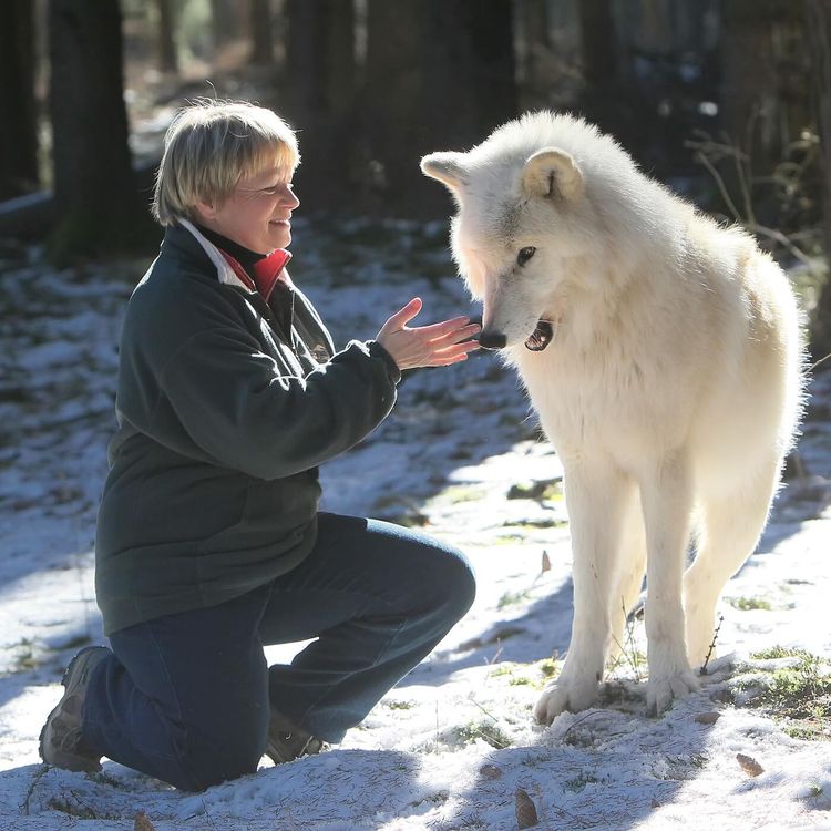 cover art for WW213: Das Geschenk der Wildnis – mit Elli H. Radinger (1/2)