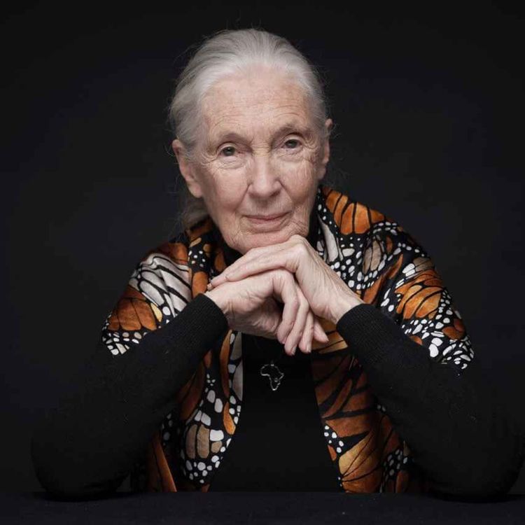 cover art for #34: Dr. Jane Goodall – Thoughts on a good life and a healthy planet