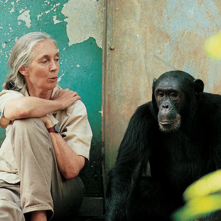 cover art for #24: Hope for our Planet – with Dr. Jane Goodall