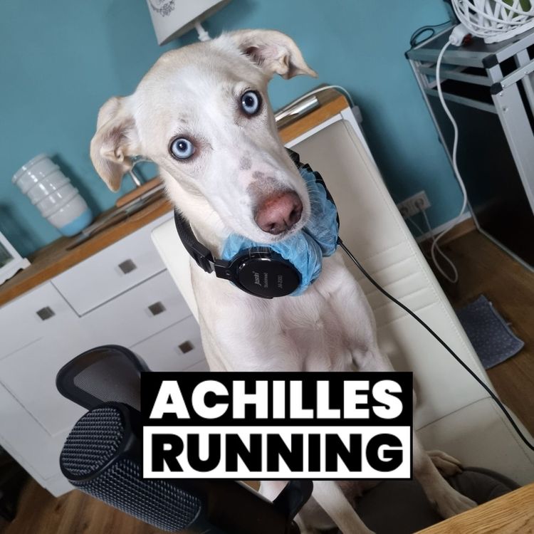 cover art for Nina Windhausen erklärt Canicross: Laufen mit Hund