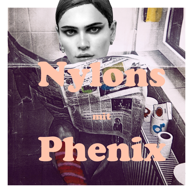 cover art for 18 Nylons - mit Phenix
