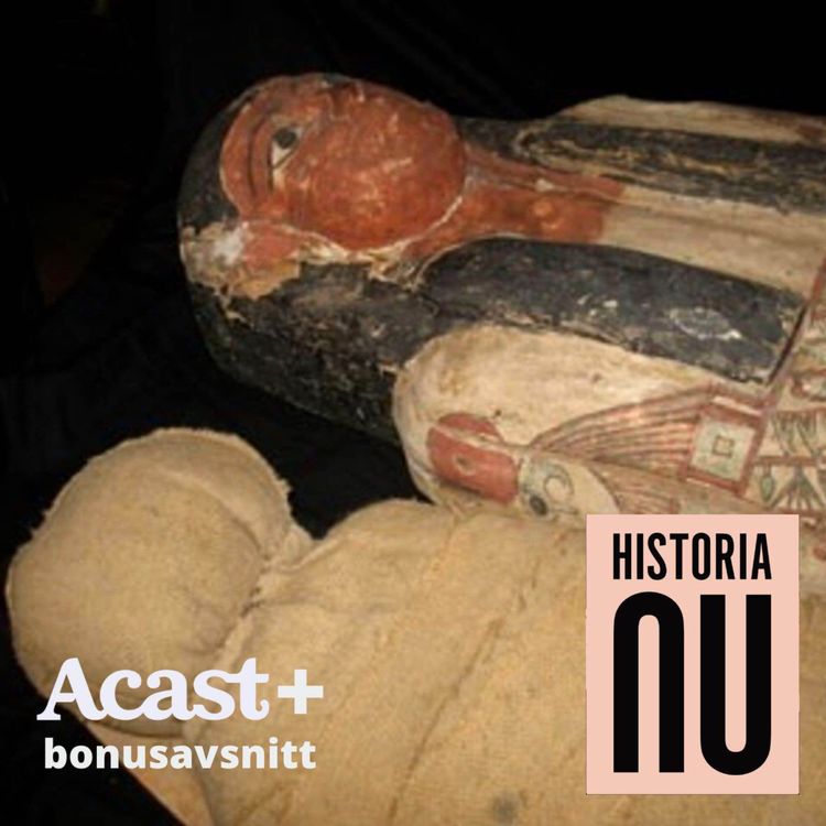 cover art for Bonus: Våra svenska mumier (teaser)