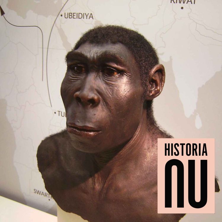 cover art for Homo erectus första samtal - språkets uppkomst (nymixad repris)