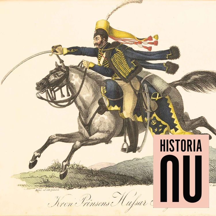 cover art for Skånska kavalleriet - från ockupanter till kulturbärare