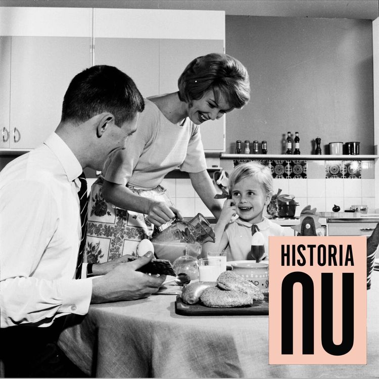 cover art for Folkhemmet – metaforen som tog 50 år att slå igenom (nymixad repris)