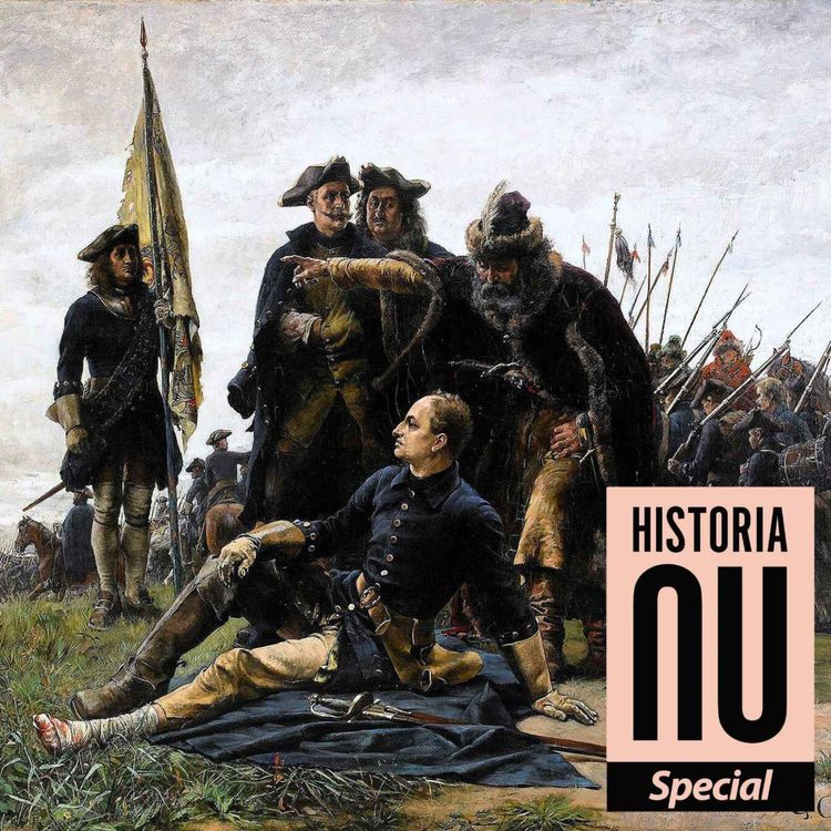 cover art for Karolinerna mot undergången vid Poltava