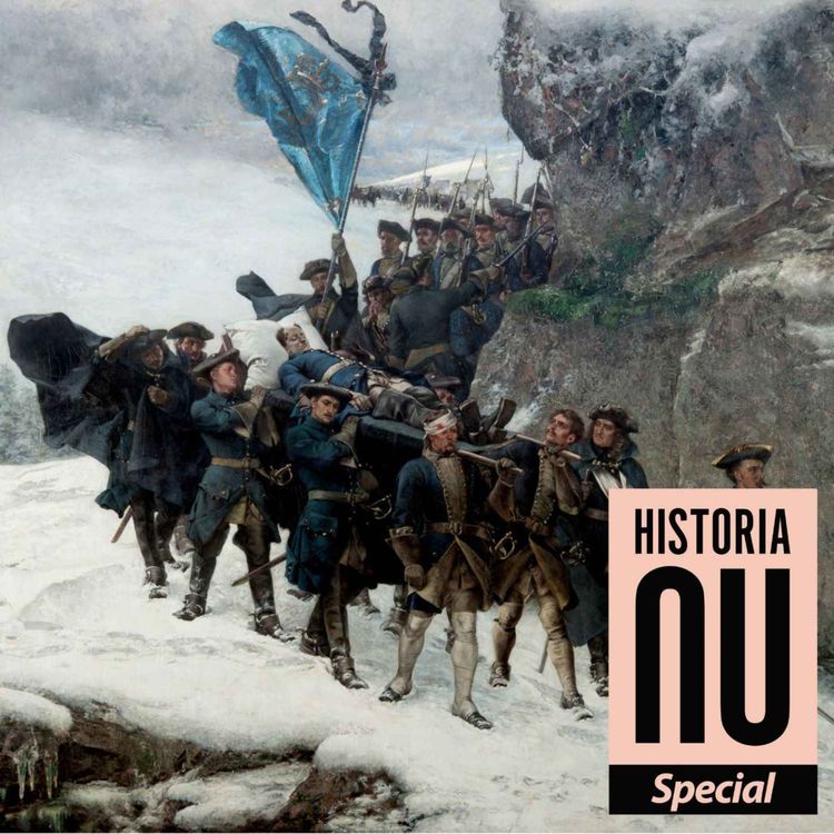 cover art for Slutet – Karl XII:s död och de hårda frederna