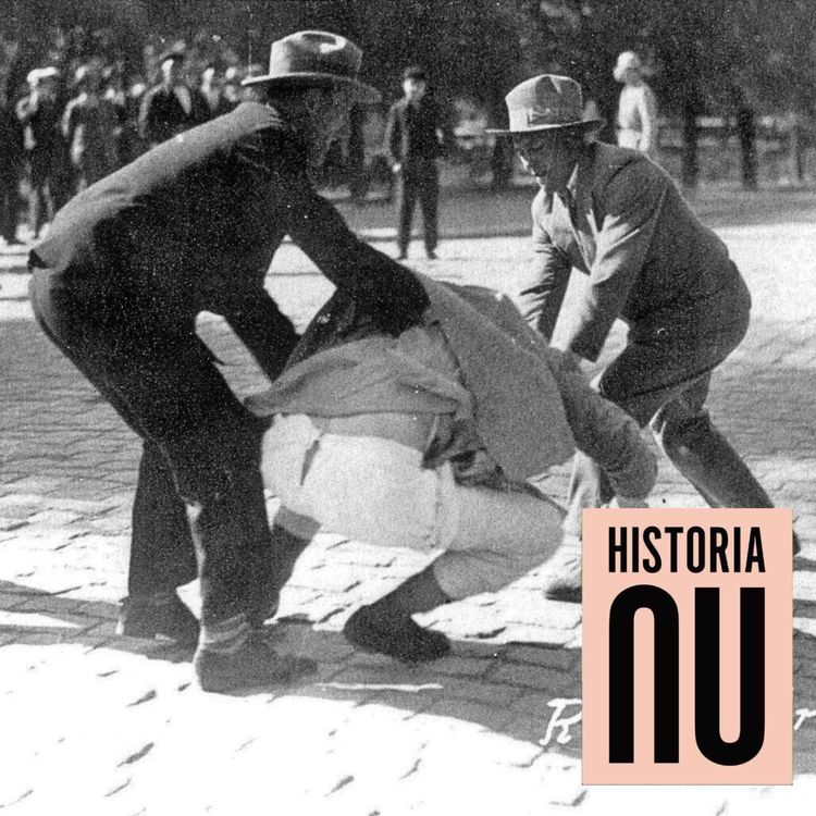 cover art for Det fascistiska hotet i Finland: finlandssvenskarna och striden mot extremismen