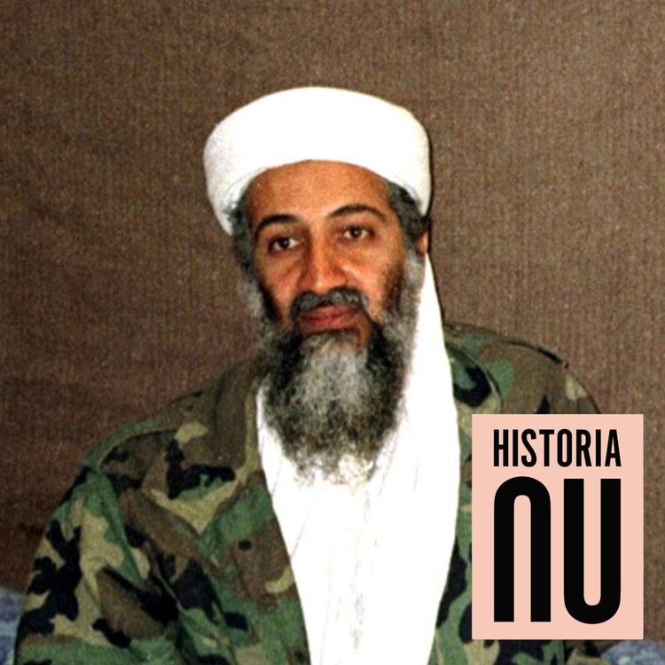 cover art for Så föddes al-Qaida - Usama bin Ladens planering av 11 september