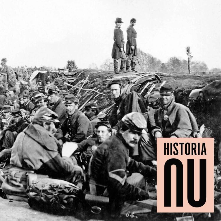 cover art for Svenskarna i det amerikanska inbördeskriget