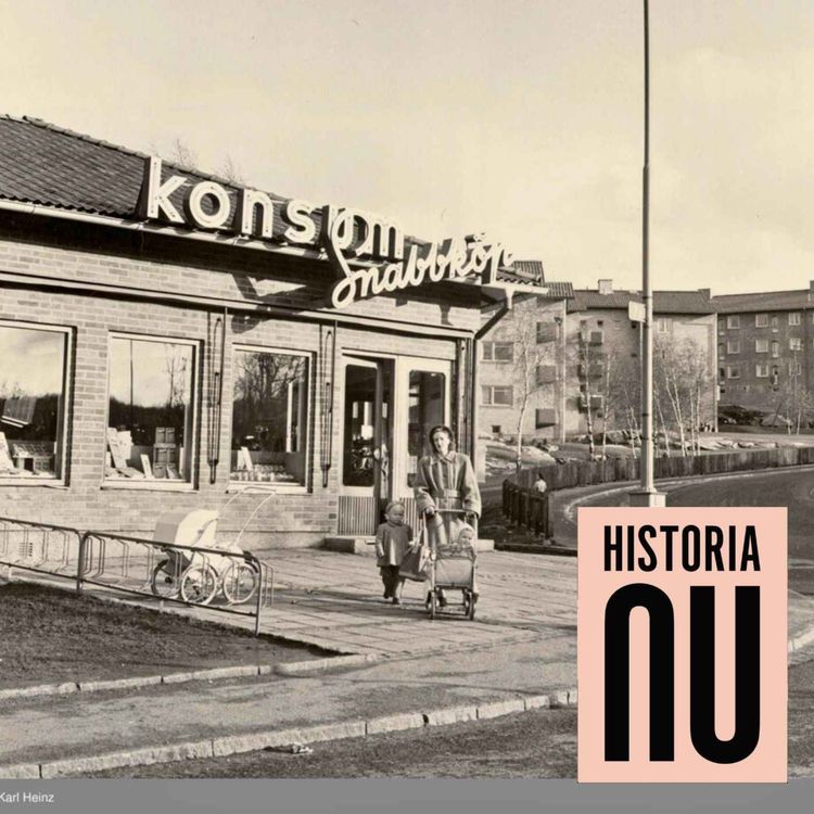 cover art for Från vaggan till graven – så skapades svenska välfärdssamhället