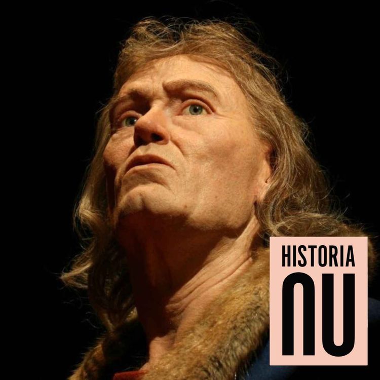 cover art for Med svärd och lag: Birger Jarl och rikets födelse