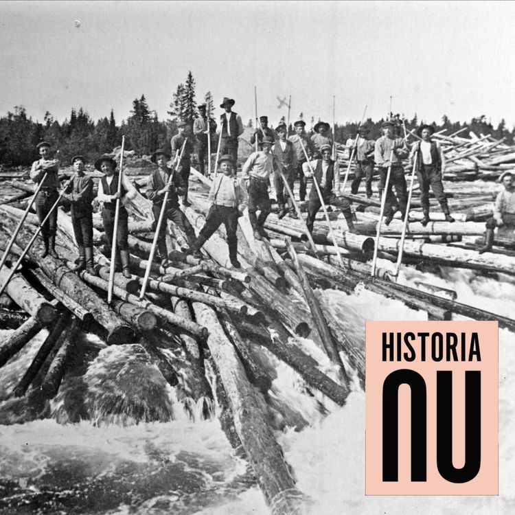 cover art for När Norrlands gröna guld flottades ut