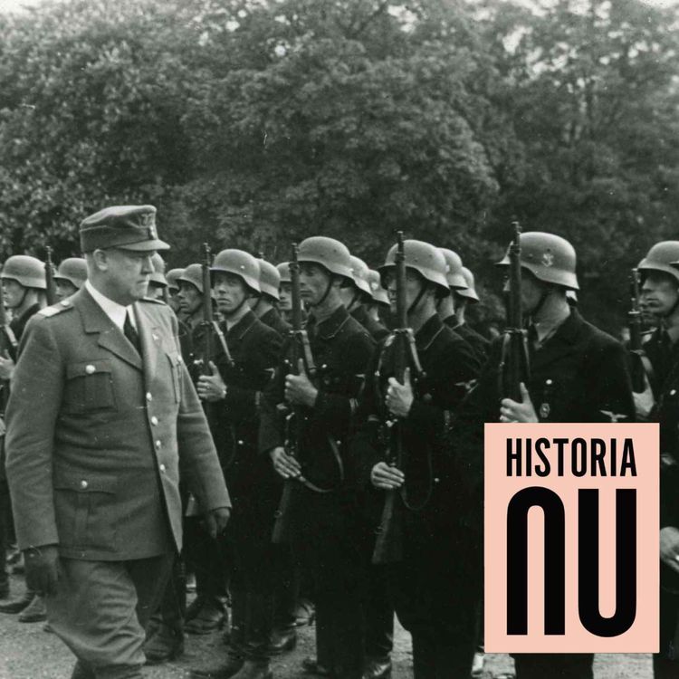 cover art for De nordiska frivilliga i Waffen-SS (premium)