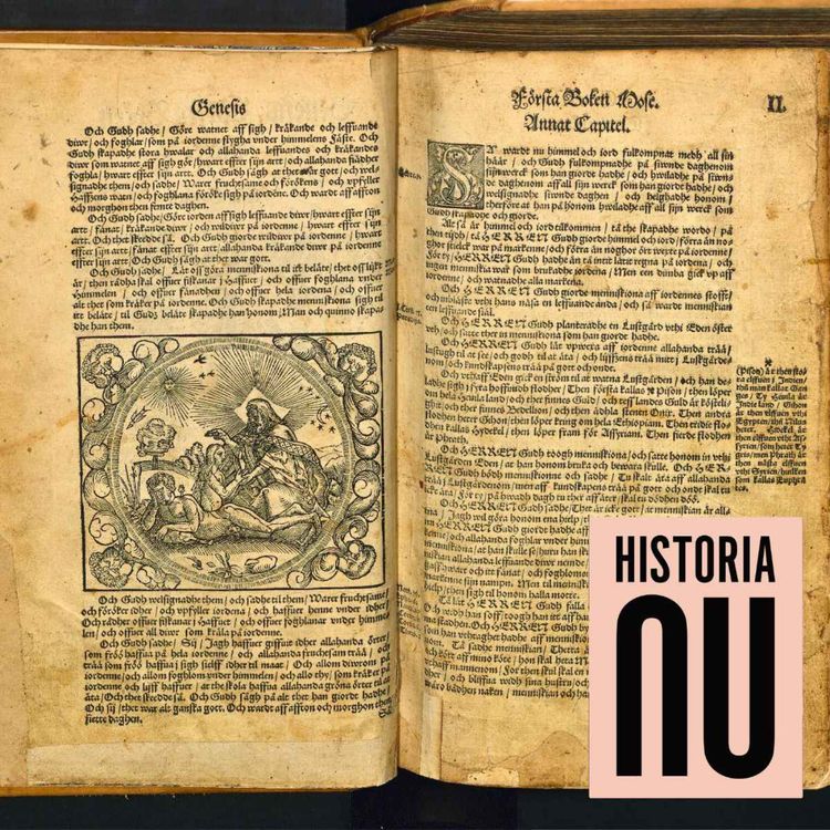 cover art for Svenska språket från runor till riksspråk