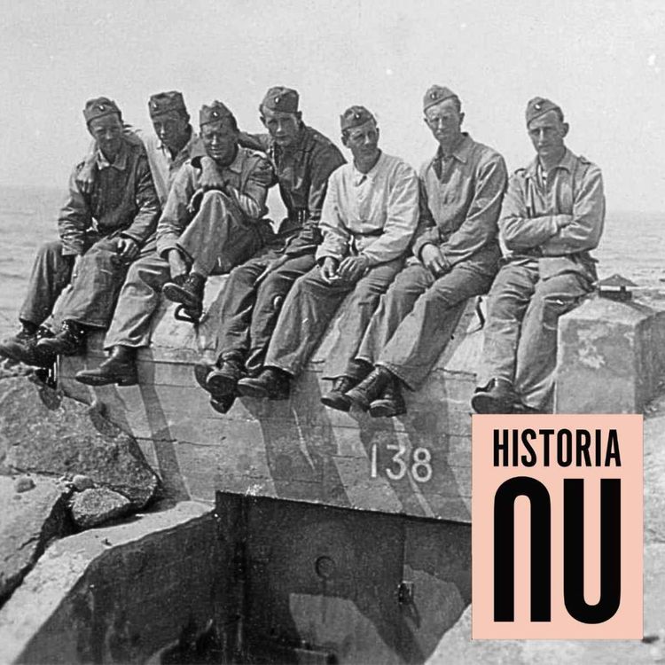 cover art for Skånelinjen – värnet mot Hitler