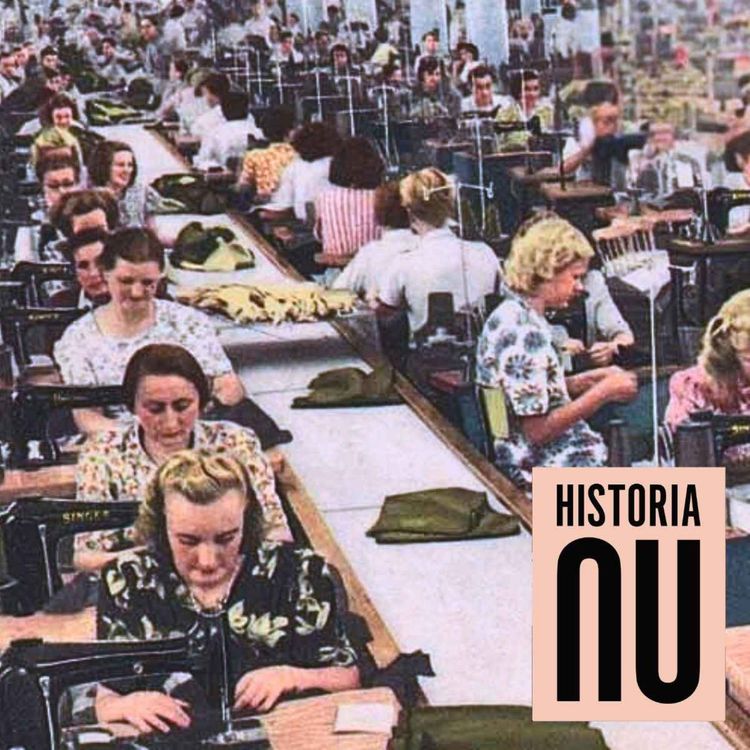 cover art for Den stora flytten över Bottenhavet 1964–1970