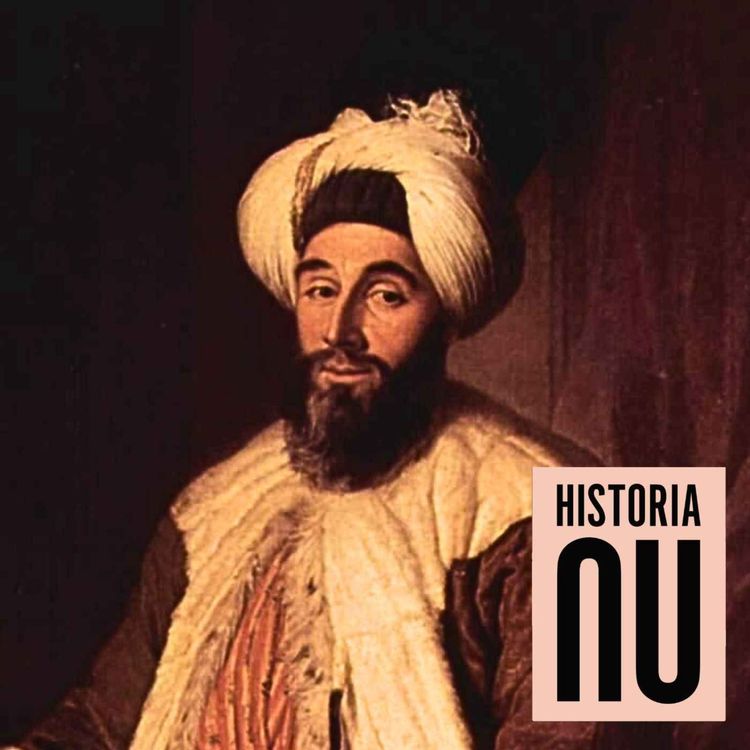 cover art for Resan från Istanbul till Sverige 1733