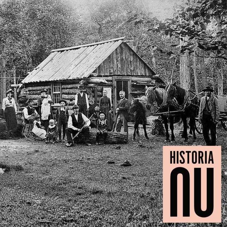 cover art for När amerikasvenskarna tog vikingarnas till hjälp