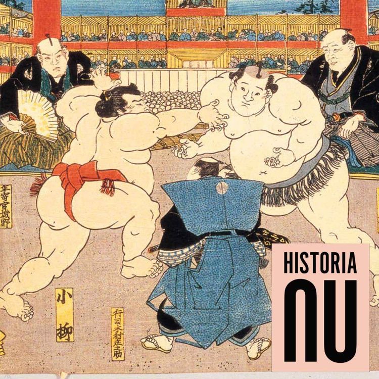 cover art for Det svårbegripliga Japan