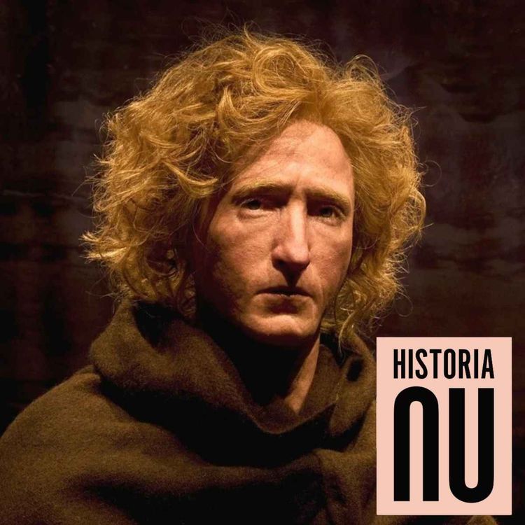 cover art for Myterna runt bockstensmannen