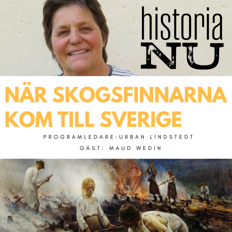 cover art for När skogsfinnar koloniserade svenska utmarker