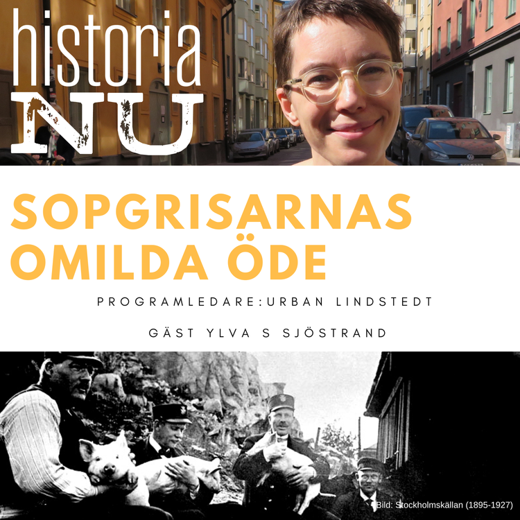 cover art for Stockholms sopgrisars oblida öde i stadens tjänst (nymixad repris)
