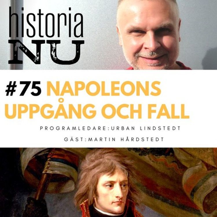 cover art for Napoleons uppgång och fall i det revolutionära Frankrike